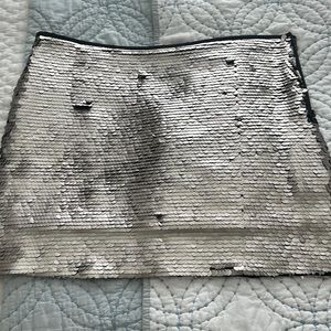 Metallic Zara Skirt